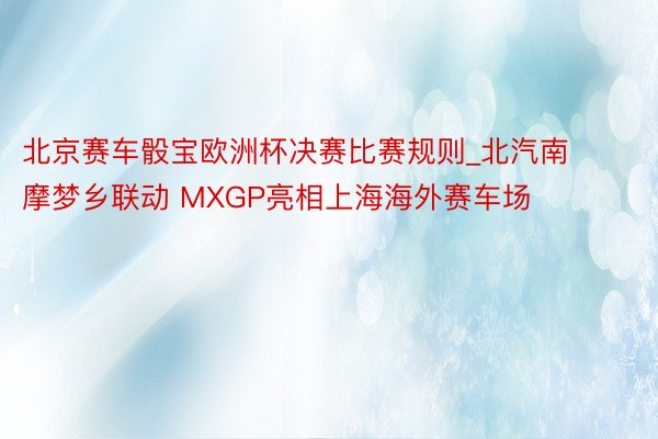 北京赛车骰宝欧洲杯决赛比赛规则_北汽南摩梦乡联动 MXGP亮相上海海外赛车场